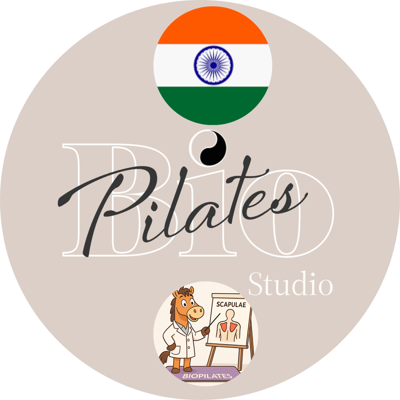 🇮🇳 स्कंधास्थि: गतिशीलता, स्थिरता और बायोमैकेनिक्स की तुलना Stott Pilates Scapula Stabilisation episode artwork