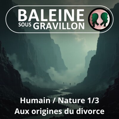 S02E09 Et l'Humain divorça de la Nature... 1/3 : Les origines de la cassure (Gilles Vervisch, philosophe) cover