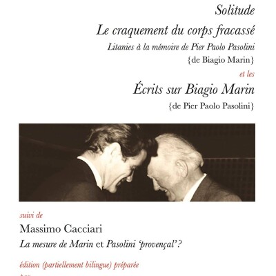Biagio Marin & Pier Paolo Pasolini ; une amitié poétique cover
