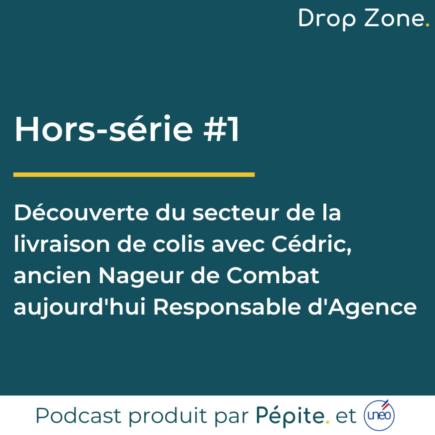 Drop Zone [Pépite. x Unéo]