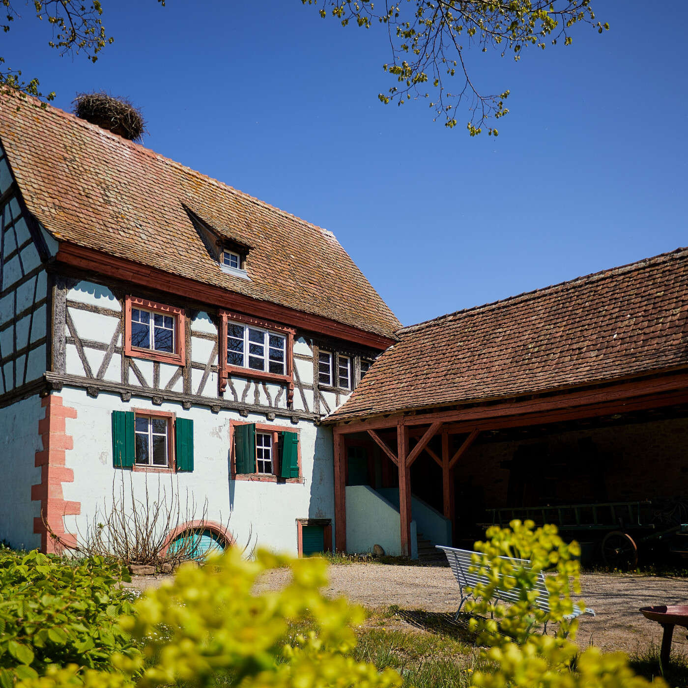 Ecomusée d'Alsace : La maison du vigneron en lice pour le grand prix du patrimoine et du tourisme local episode artwork