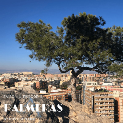 S317 - Palmeras cover