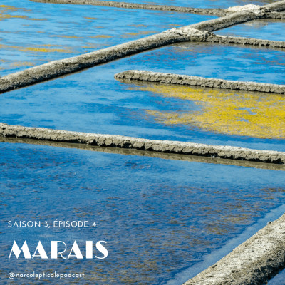 S3E4 - Marais cover