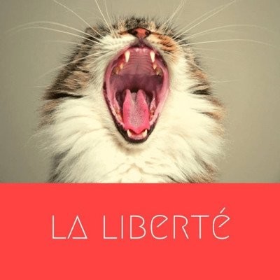 la liberté (François Sureau) cover