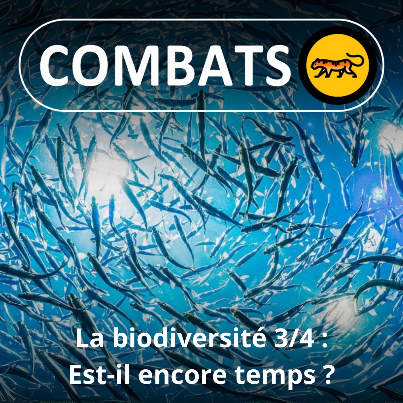 S03E35 La biodiversité 3/4 : Est-il encore temps ? (Hugues Mouret, entomologiste)