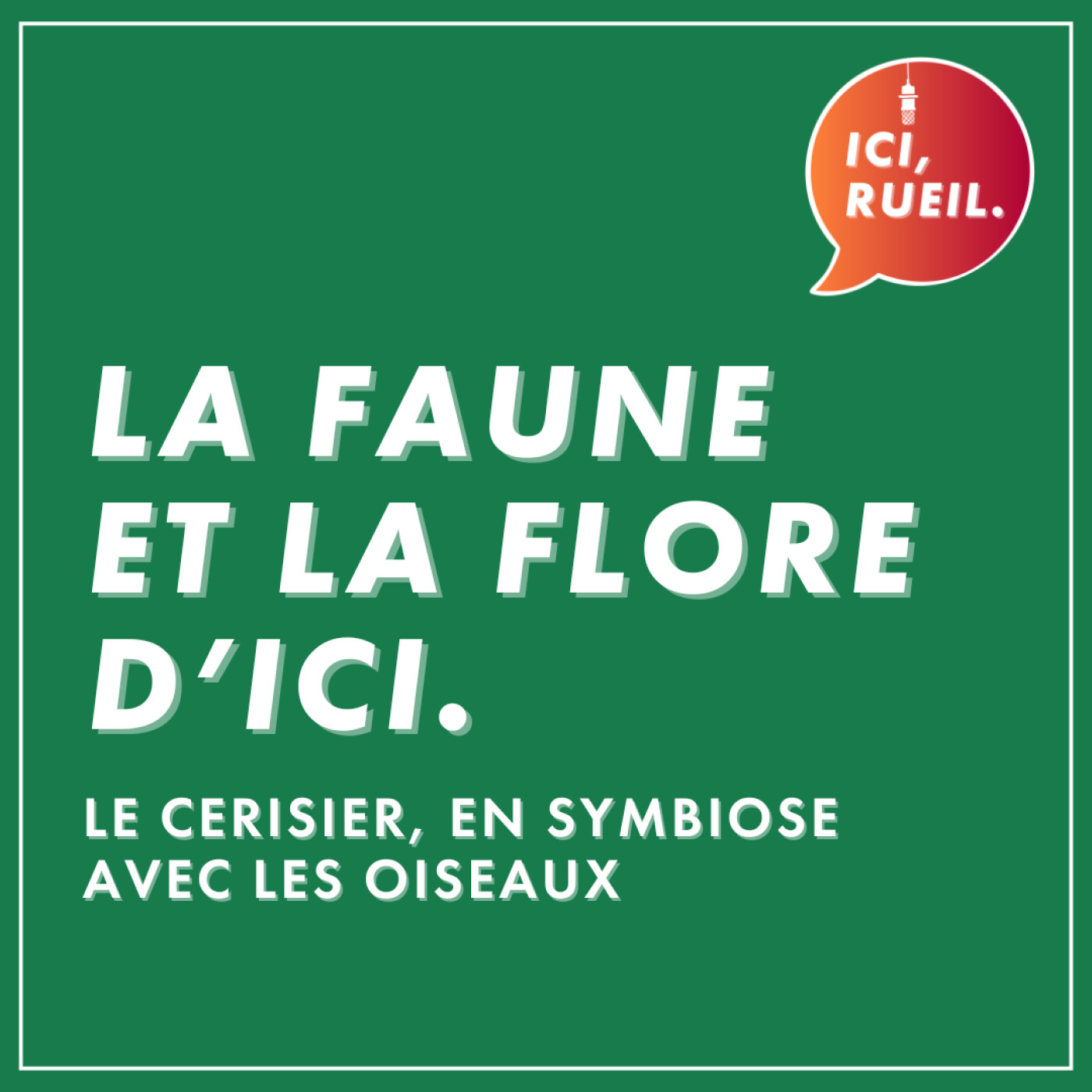 La Faune et la Flore d’Ici : Le cerisier, en symbiose avec les oiseaux