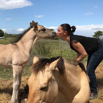 Le Cheval par Nature : Ferme équestre cover