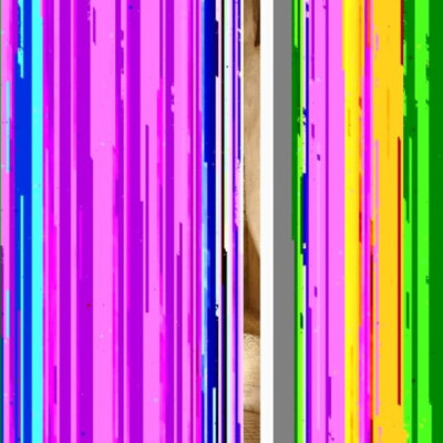 Madame Miss France cover