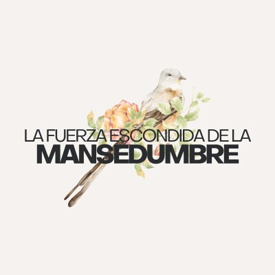 La Fuerza Escondida de la Mansedumbre cover