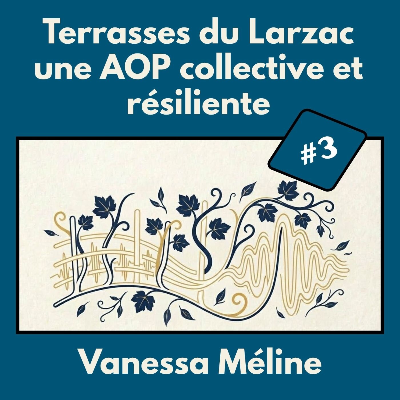 #3 – Vanessa Méline : Terrasses du Larzac, une AOP collective et résiliente episode artwork