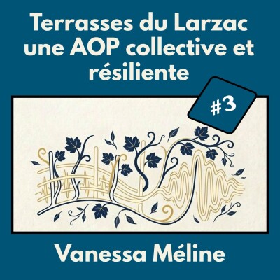 #3 – Vanessa Méline : Terrasses du Larzac, une AOP collective et résiliente cover