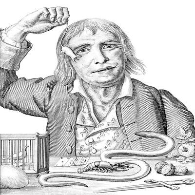 Histoire Vraie Méconnue (HVM) – ÉPISODE 36 : Tarrare : L'homme à l'appétit insatiable cover