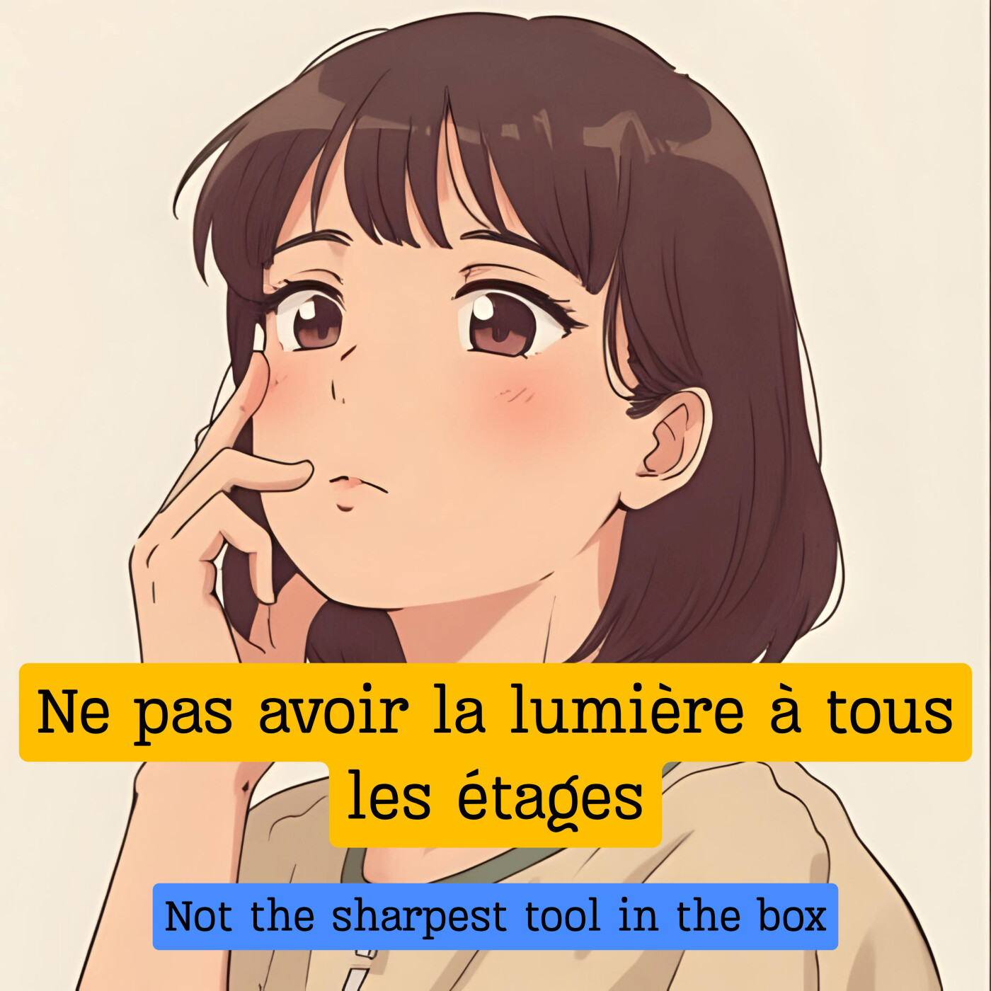 Expression française : "Ne pas avoir la lumière à tous les étages"