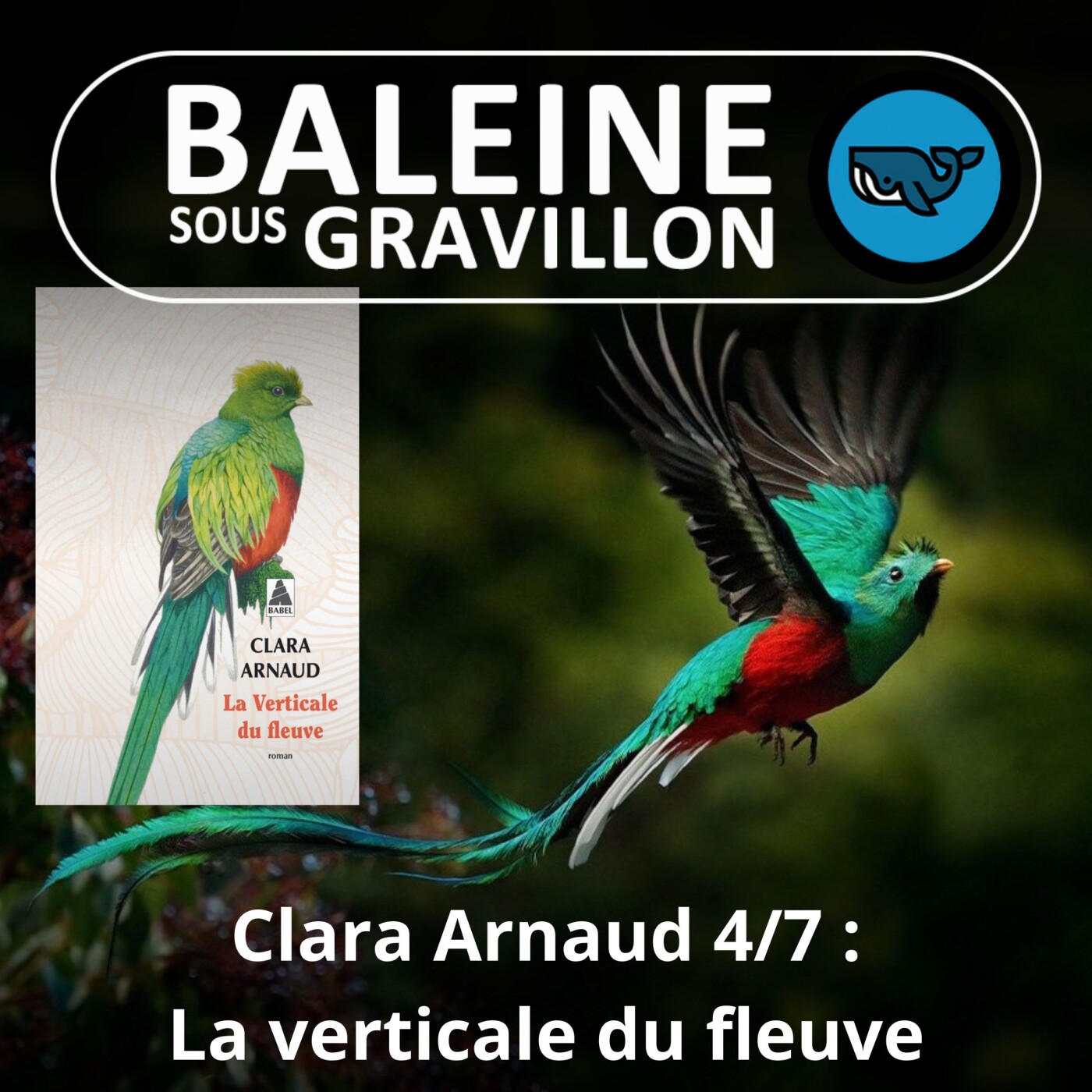 S06E19 Clara Arnaud 4/7 : Défendre le Vivant... et mourir assassinée