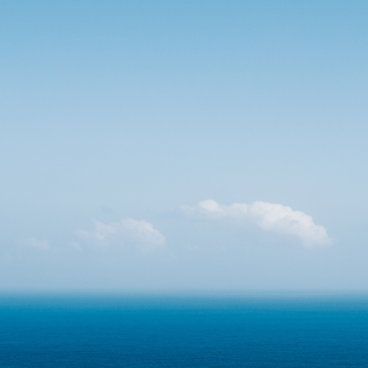 The Ear Limb Podcast by Blue Limb Co.