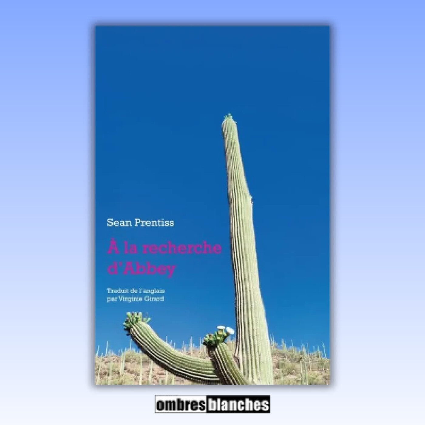 Sean Prentiss → À la recherche d'Abbey