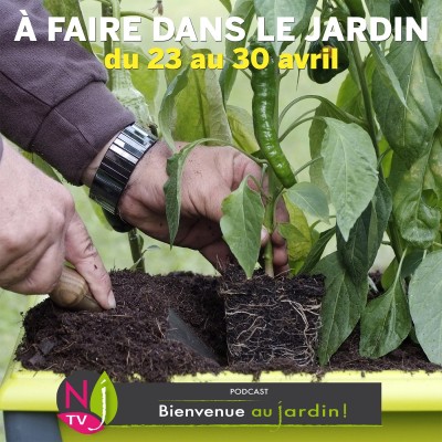QUE FAIRE DANS LE JARDIN DU 23 AU 30 AVRIL ? cover