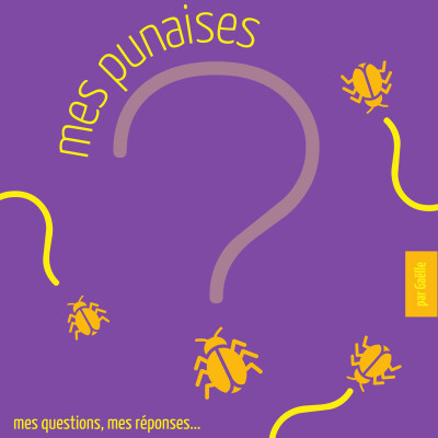 E29 le château de Versailles cover