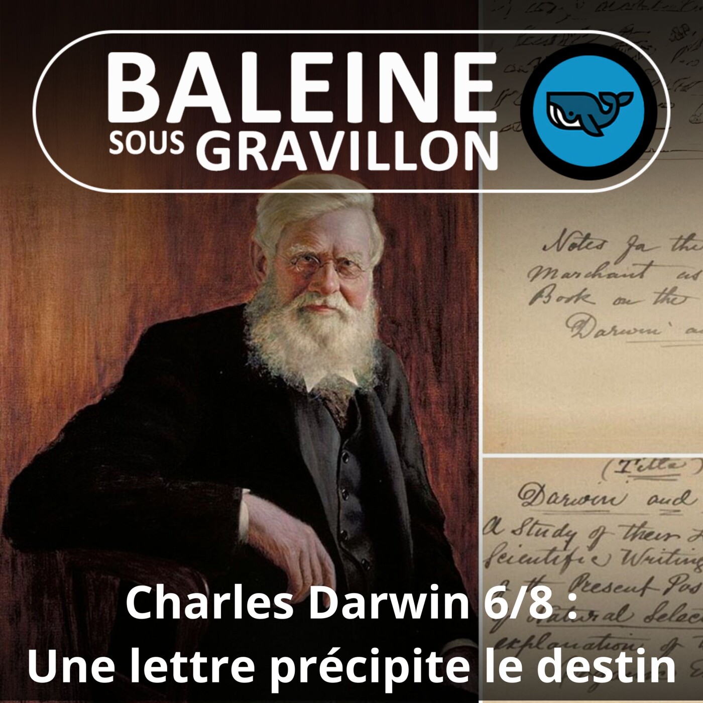 Baleine sous Gravillon