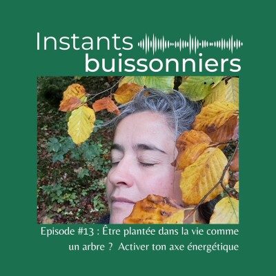 Episode 13 : Être plantée dans la vie comme un arbre ? Activer ton axe énergétique cover