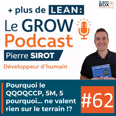 Pourquoi le QQOQCCP, 5M, 5 pourquoi... ne valent rien sur le terrain !? cover
