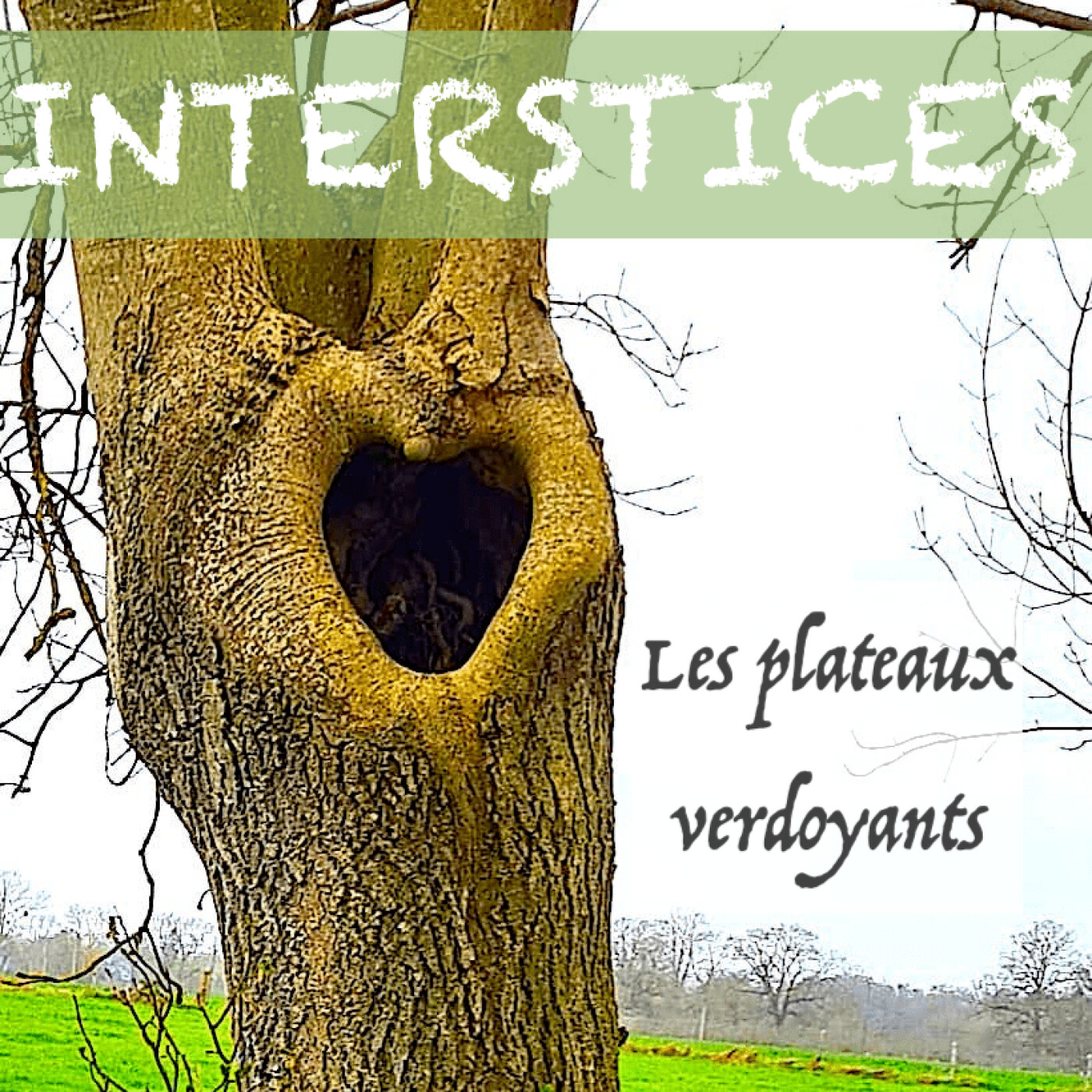 Les plateaux verdoyants