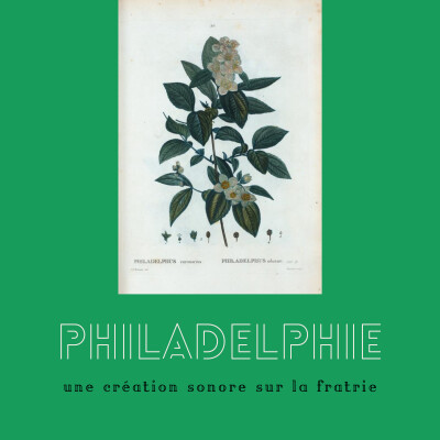 Philadelphie - une création sonore sur la fratrie cover