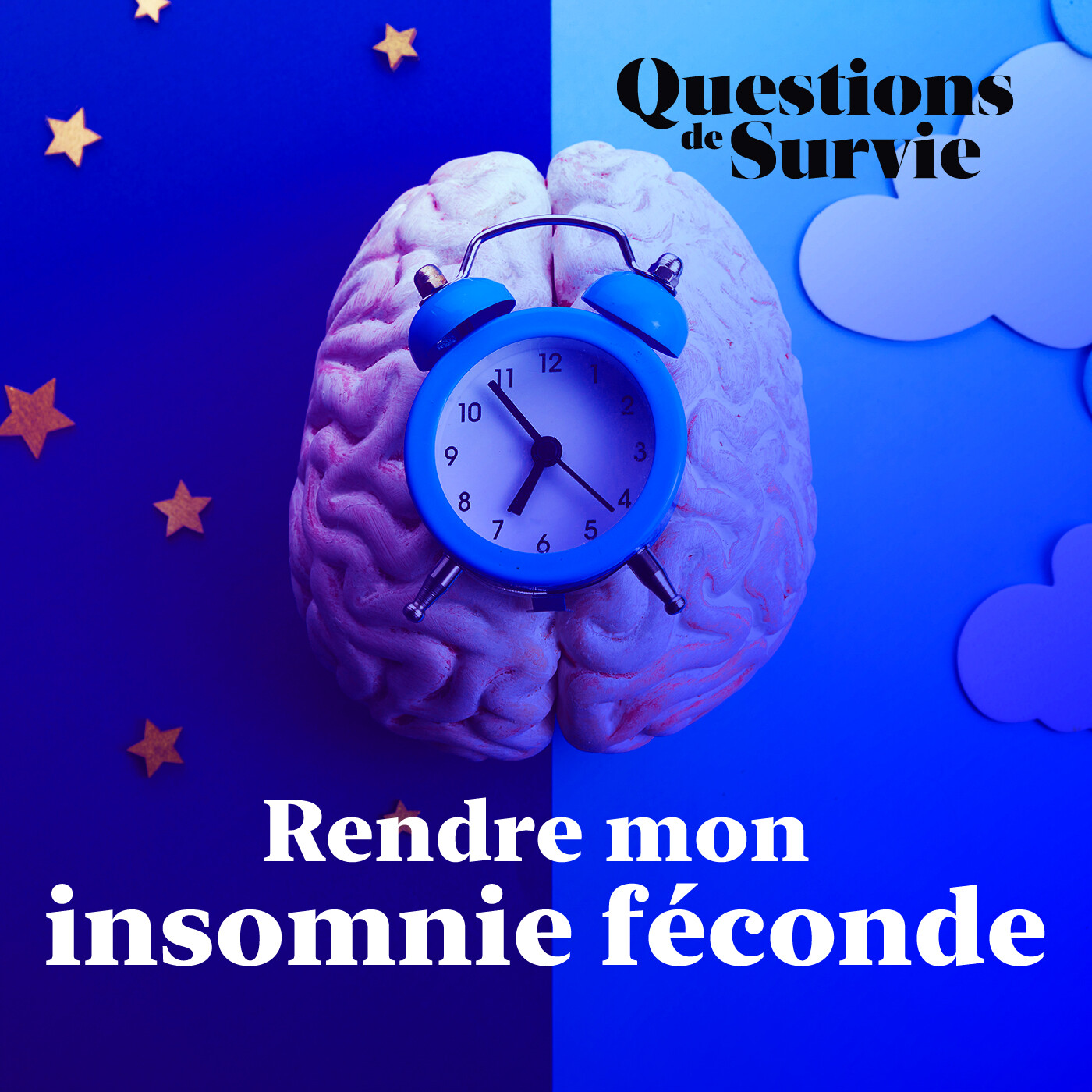 Questions de Survie