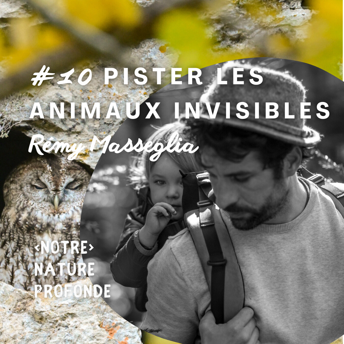 #10 Pister les animaux invisibles - Rémy Masséglia episode artwork
