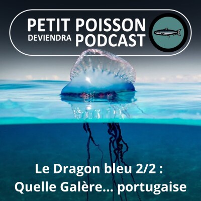 S02E43 Le Dragon bleu 2/2 : L'étonnant prédateur de la "flottille... bleue" ! cover