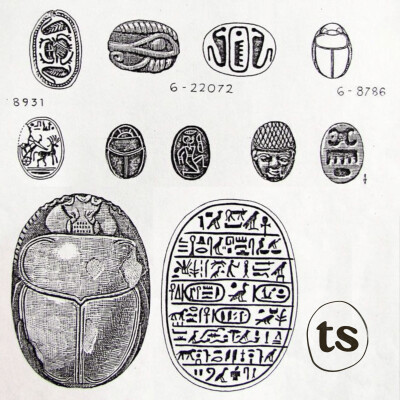(25) 'The Scarab’s Chronicle' cover