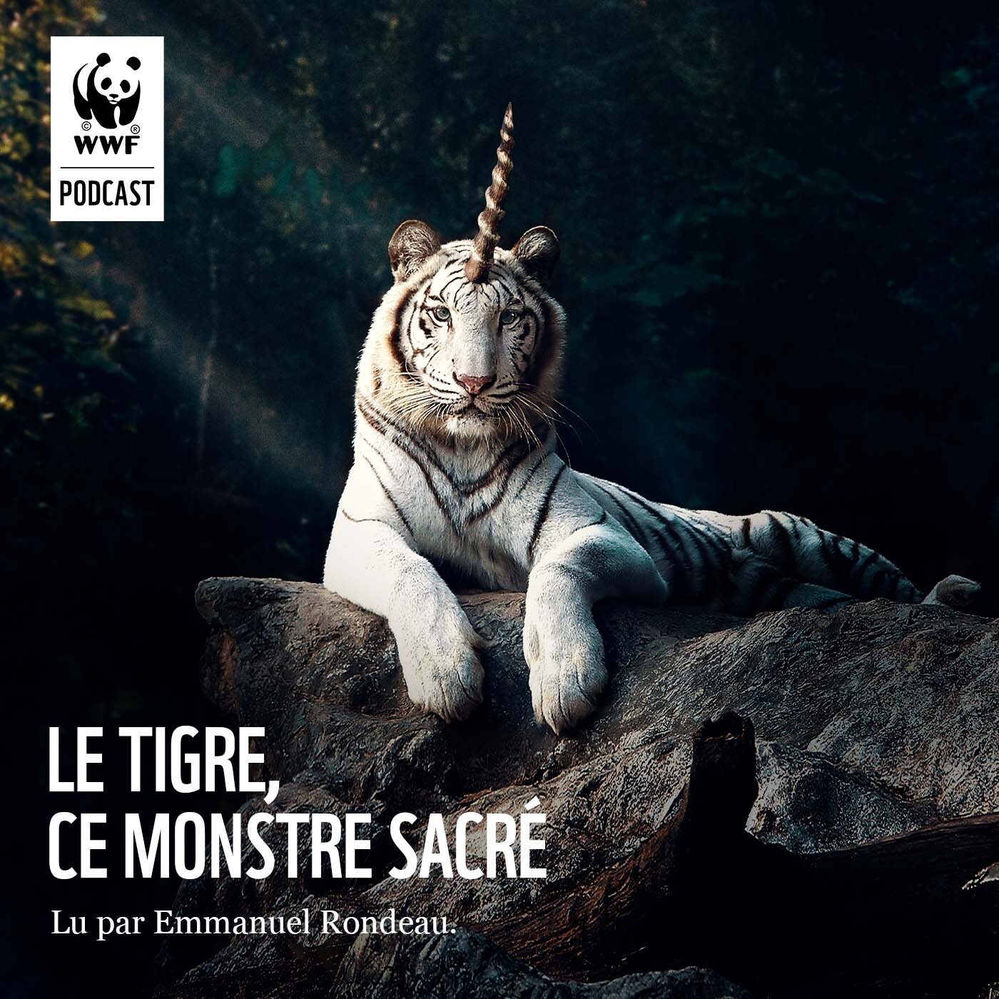 Le Tigre, ce Monstre Sacré