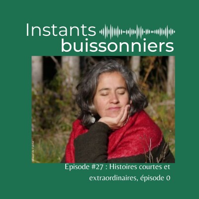 Episode 27 : Histoires courtes et extraordinaires, épisode 0 cover