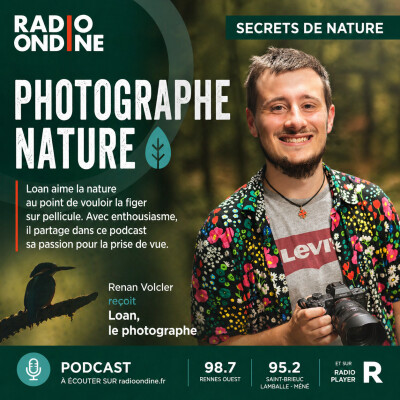 Photographe Naturaliste : Un amoureux de la nature, passionné des petites et des grandes bêtes. cover