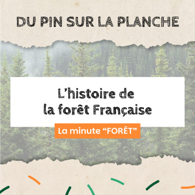 L’histoire de la forêt Française - Minute Forêt cover