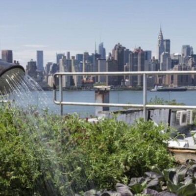 L'agriculture urbaine : qu'est-ce que c'est ? cover