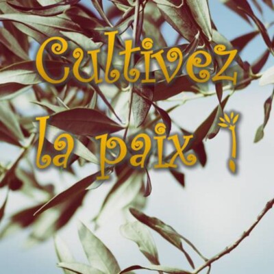 Cultivez la paix ! cover