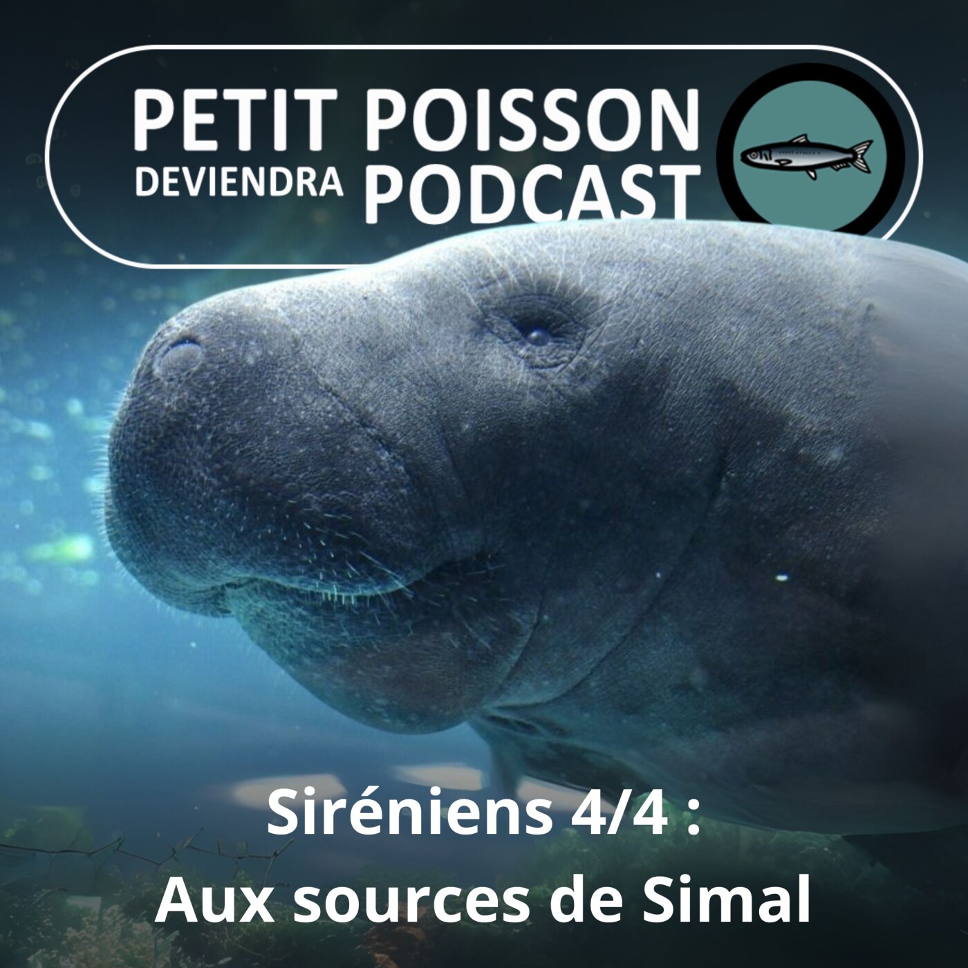 Petit Poisson deviendra Podcast