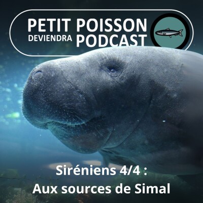 S01E24 Siréniens 4/4 : Les Siréniens... aux sources de Simal cover