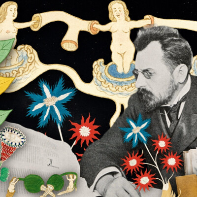 Le manuscrit de VOYNICH : Une énigme qui défie le temps cover