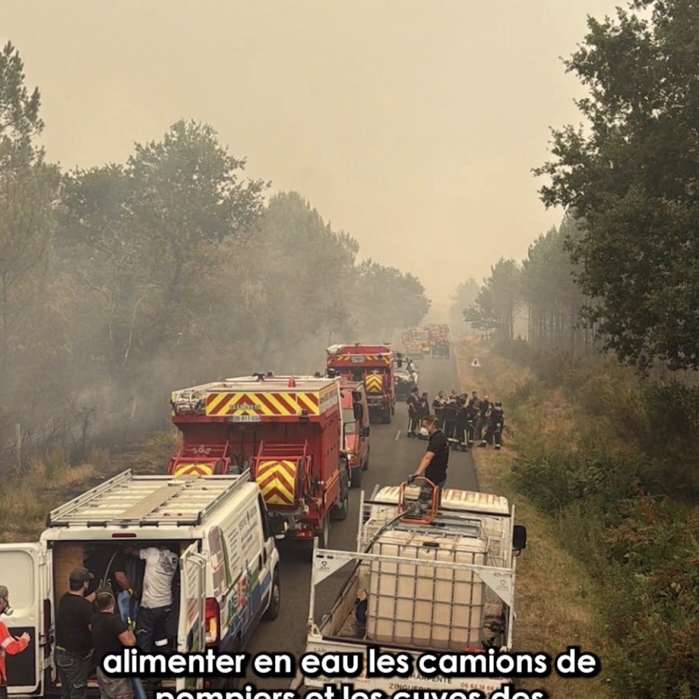 C'est dans l'actu : des entreprises de bâtiment se mobilisent sur les incendies en Gironde episode artwork