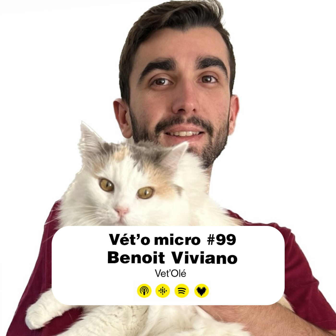 Vet\'o micro