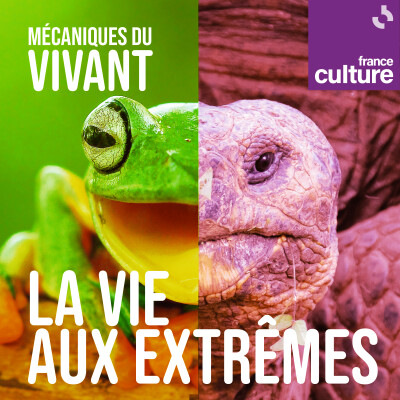 Mécaniques du vivant, saison 7 : La vie aux extrêmes cover