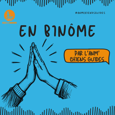 VTC et chiens guides ou d'assistance : Uber s'engage dans le cadre de l'OBAC cover