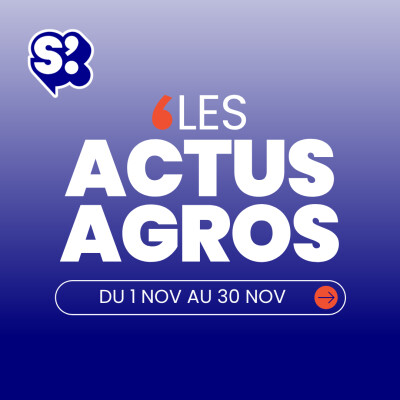 Actualités agroalimentaire du mois d'octobre : Auchan bascule ses supermarché en Intermarché cover