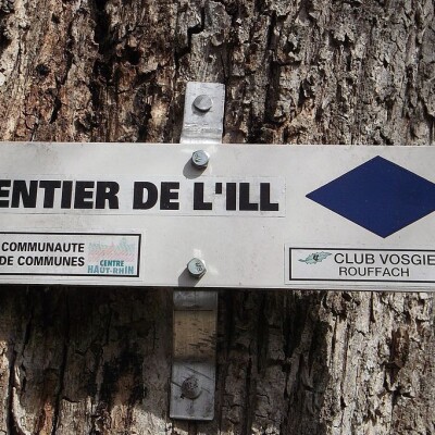 Les secrets du Bas-Rhin : randonner le long de l’Ill ! cover