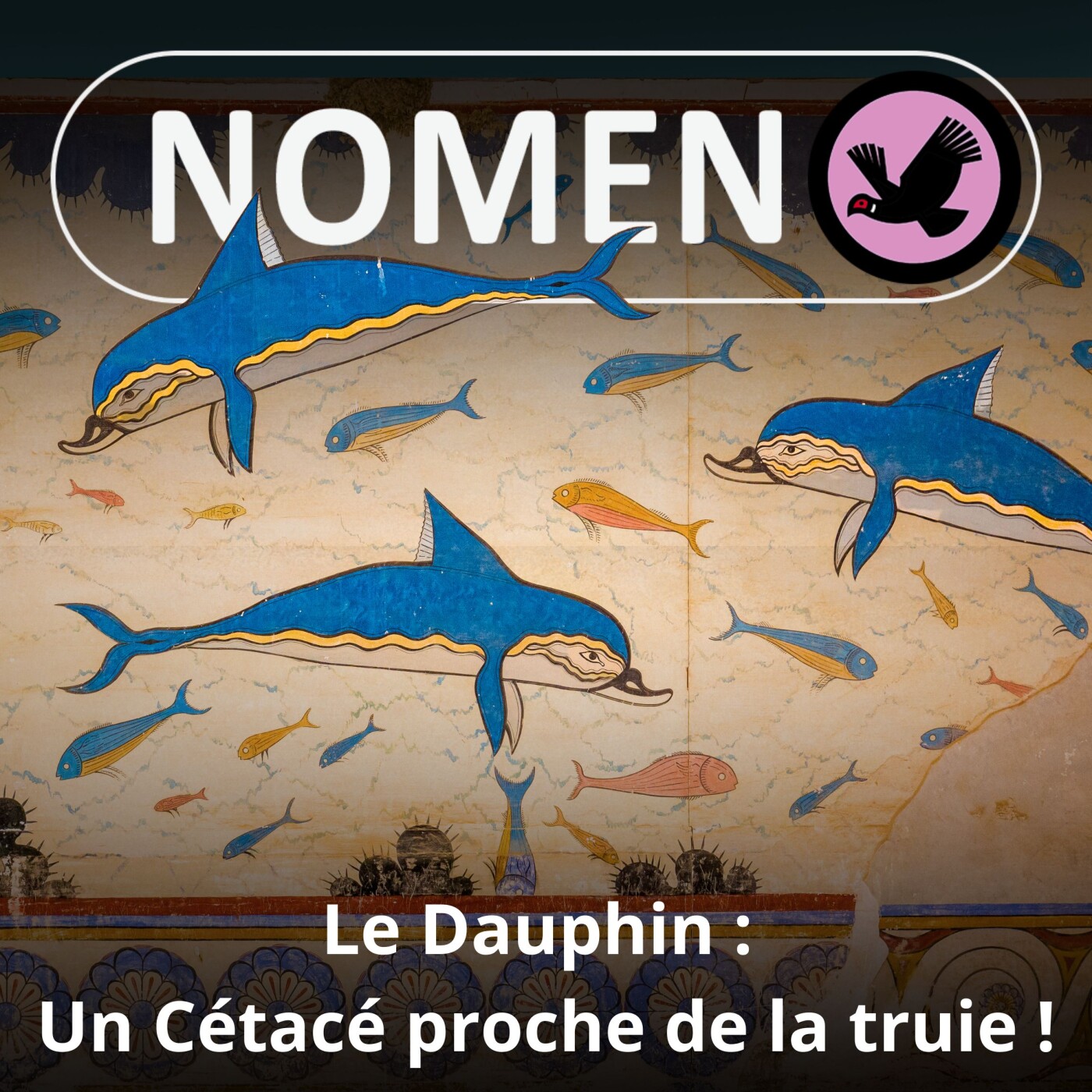 S05E29 Le Dauphin : Un lien surprenant avec la... truie !