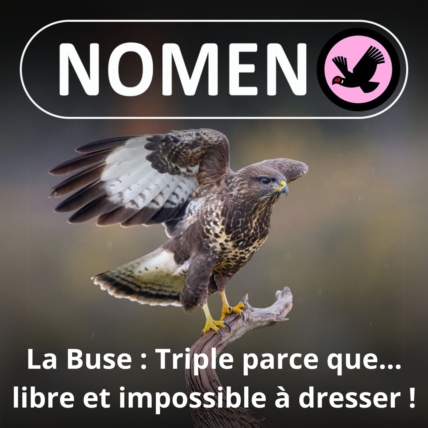 Nomen