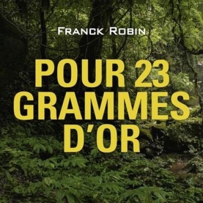 Franck Robin cover