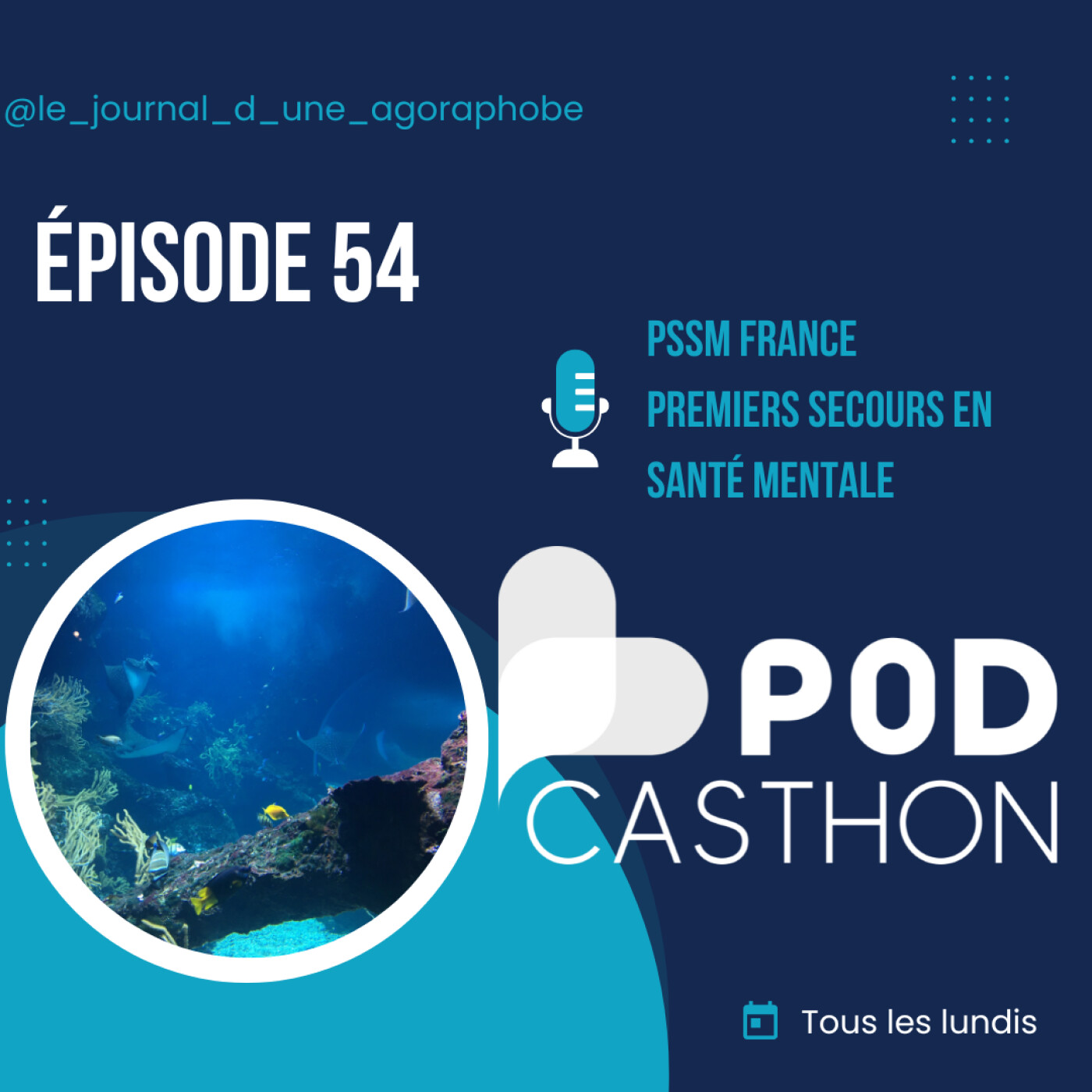 Le journal d’une agoraphobe